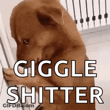 Brown Dog Standing By Railing Saying Giggle Shitter GIF