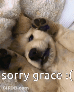 Brown Dog Standing On Hind Legs Next To Door GIF