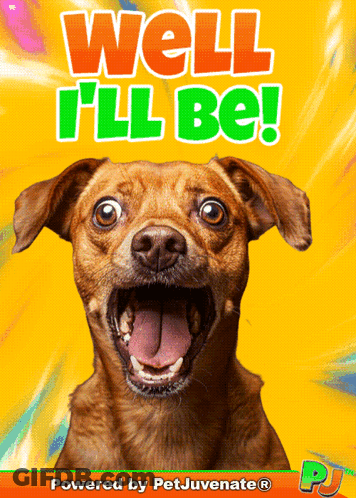 Brown Dog With Mouth Open And Well I'll Be GIF