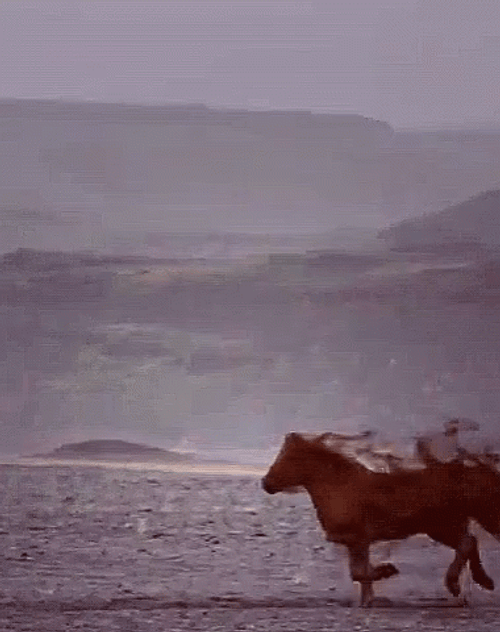 Brown Horse To White Unicorn Transformation GIF