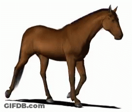 Brown Horse Walking GIF