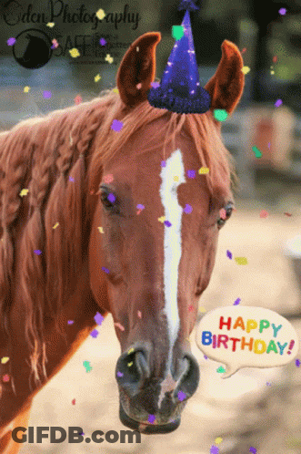 Brown Horse Wearing Birthday Hat With Happy Birthday Bubble GIF