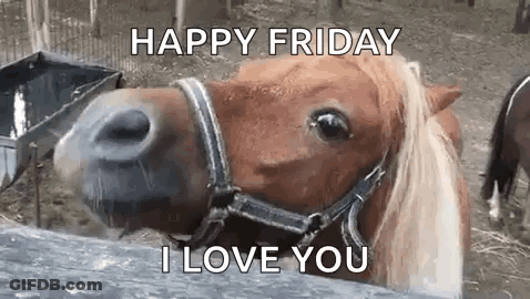Brown Horse Wearing Bridle Saying Happy Friday I Love You GIF
