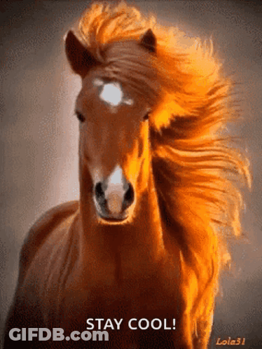 Brown Horse With Long Mane Saying Stay Cool GIF