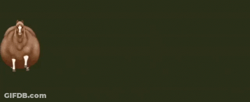 Brown Horse With White Legs Standing On Green Background GIF
