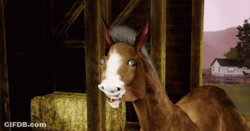 Brown Horse With White Spot Standing In Barn GIF