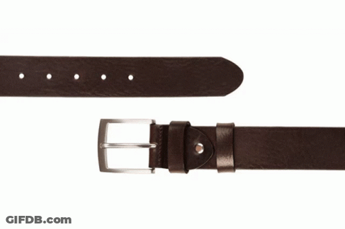 Brown Leather Belt With Silver Buckle GIF