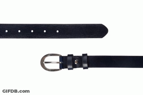 Brown Leather Belt With Silver Buckle GIF