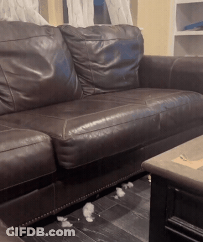 Brown Leather Couch And Coffee Table GIF