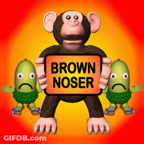 Brown Noser Monkey With The Virus GIF