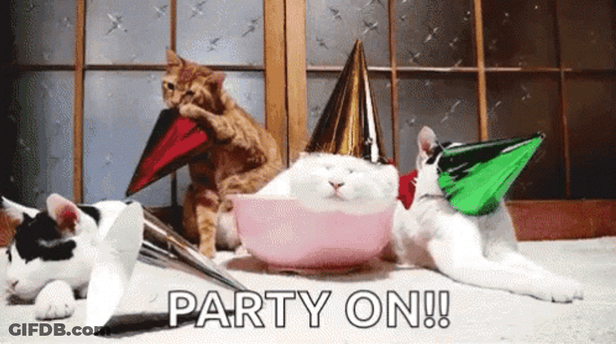 Brown Party Cat Celebration GIF