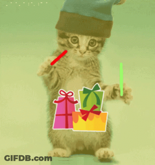 Brown Party Cat Festive Gifts GIF