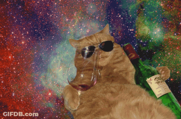 Brown Party Cat In Space GIF