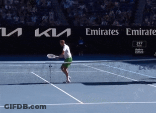 Brown Poodle On Hind Legs Saying Happy Saturday GIF