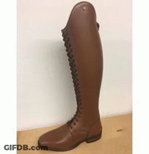 Brown Riding Boots On Wooden Table GIF