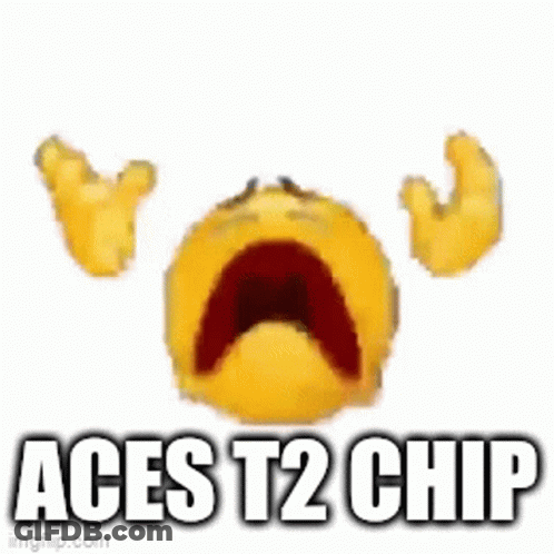 Brown Stain Saying Aces T2 Chip GIF