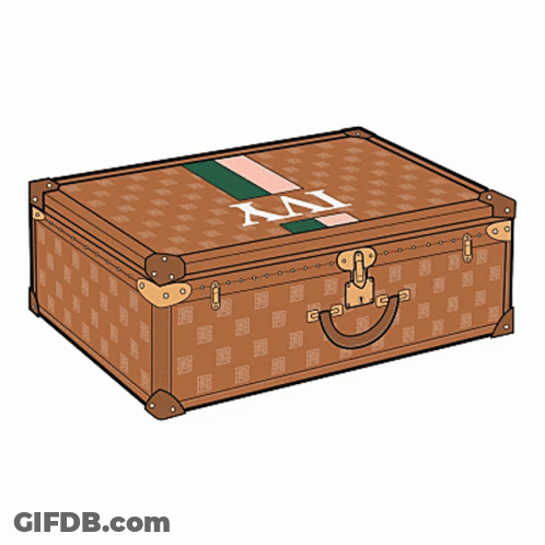 Brown Suitcase With Green And Pink Stripe Saying XII GIF
