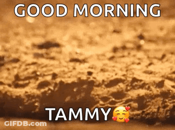Brown Surface Saying Good Morning Tammy GIF