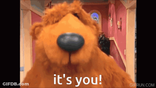 Brown Teddy Bear Says It's You GIF