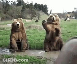 Brown Teddy Bear Standing In Front Of Stairs GIF
