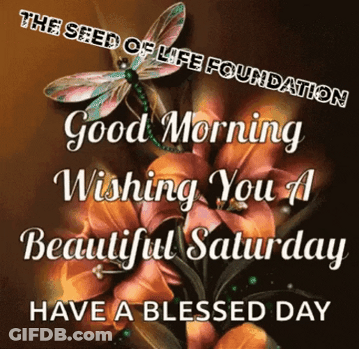 Brown Theme Saturday Blessings GIF