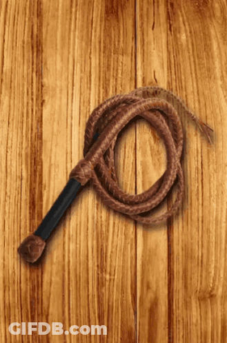 Brown Whip With Black Handle GIF