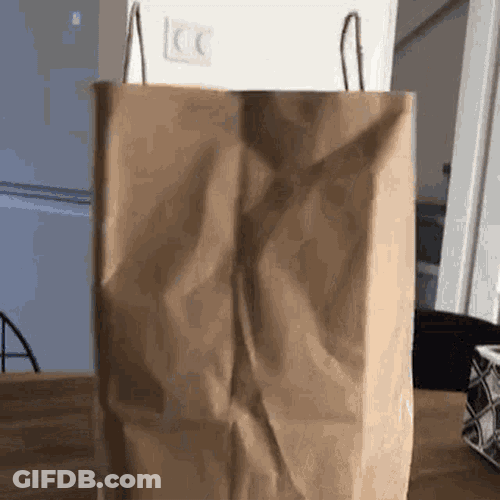 Brownbag GIF