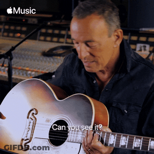 Bruce Springsteen Can You See It GIF
