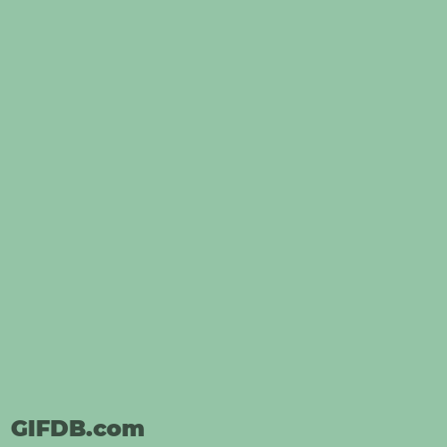 Bruh Bear Cartoon Animation GIF