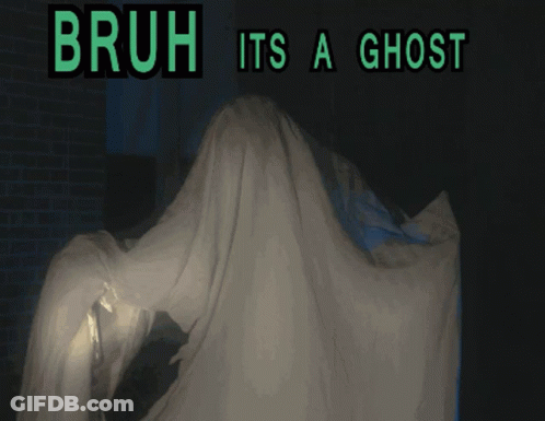 Bruh Its A Ghost Poster GIF