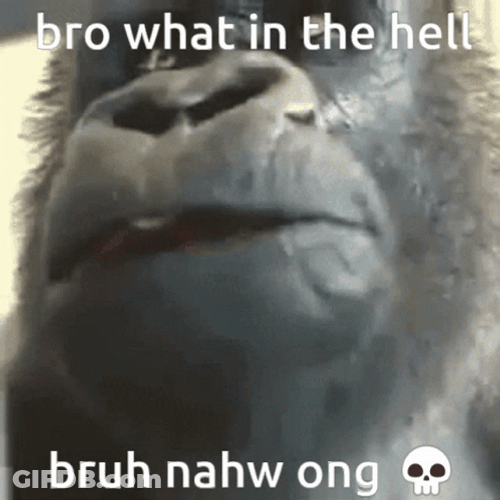 Bruh Meme Gorilla Omg What The Hell GIF