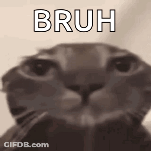 Bruh Meme Poker Face Cat GIF