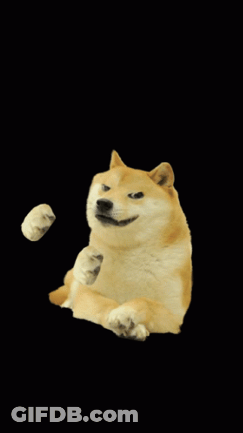 Bruh Meme Shiba Inu Dog GIF