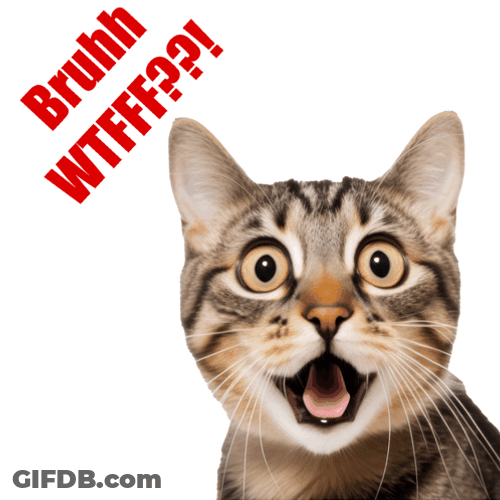 Bruh Meme Shocked Cat WTF GIF