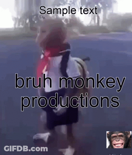 Bruh Monkey Productions Monkey GIF