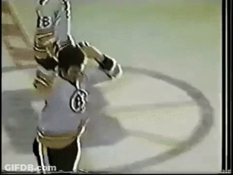 Bruins Boston Bruins GIF