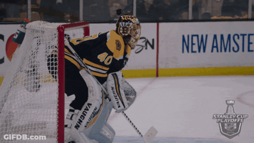 Bruins Happy Ice Hockey GIF