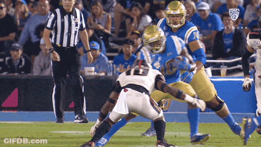 Bruins Runs Fast GIF