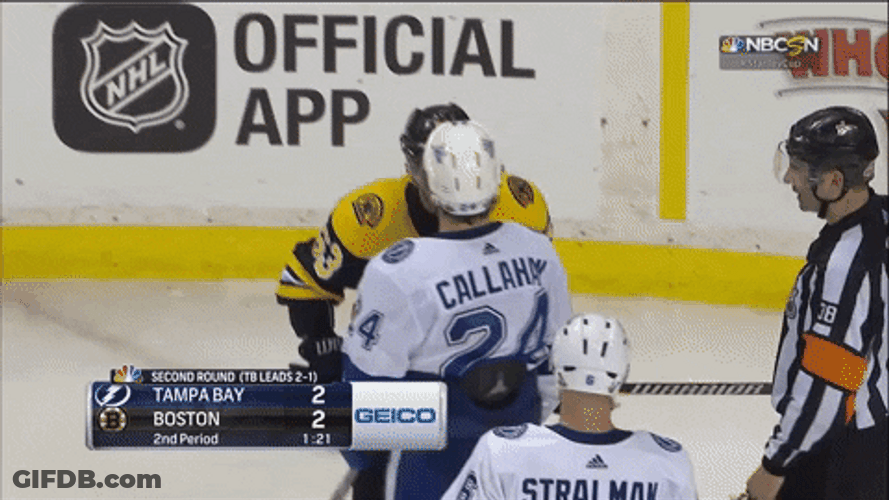 Bruins Tampa Bay Boston GIF
