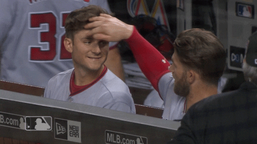 Bryce Harper Combing Colleagues Hair GIF