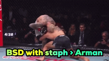 BSD With Staph Arman Boxing Match GIF