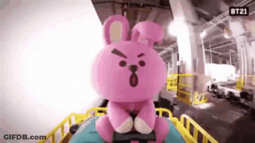 BT21 Cooky Enjoying The Roller Coaster Ride GIF