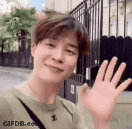 BTS Jimin Waving Hello Paris GIF