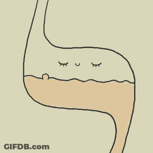 Bubble Guts Cartoon Stomach GIF