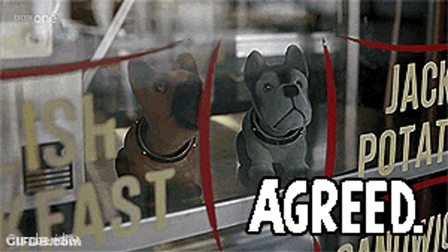 Bubble Head Dog Approval GIF