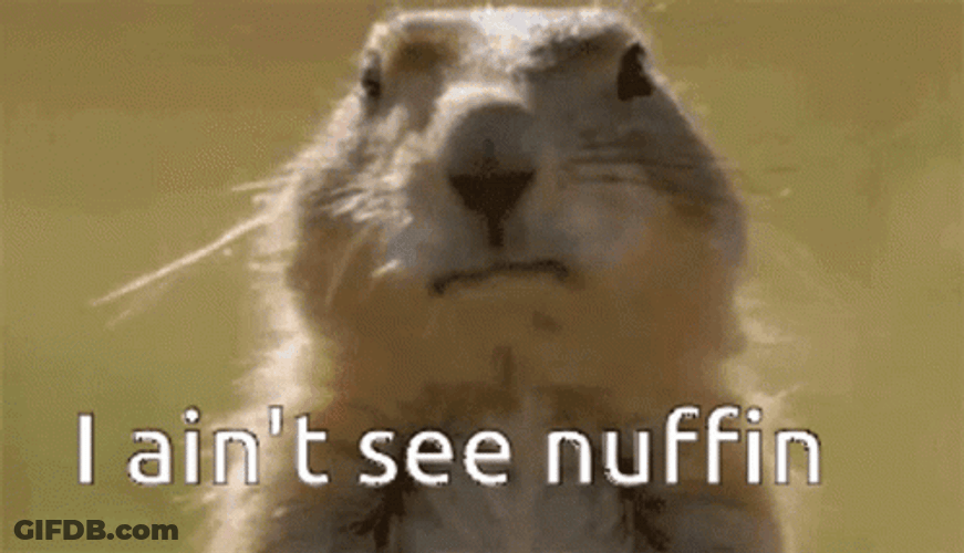 Bubblegum Groundhog GIF