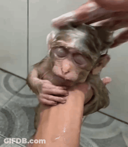 Bubbles Crying With Tears GIF