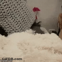 Bubbles Powerpuff Girls Crying GIF
