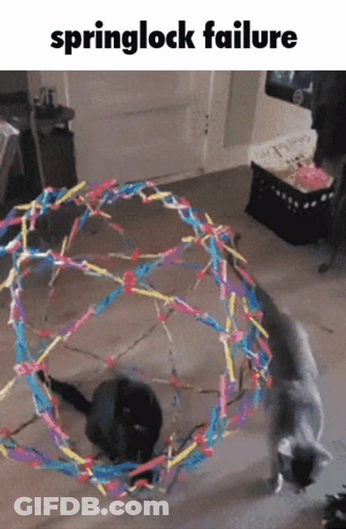 Bubu Cat Springlock Failure GIF