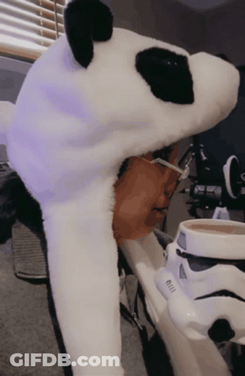Bubu It's Not A Trap GIF